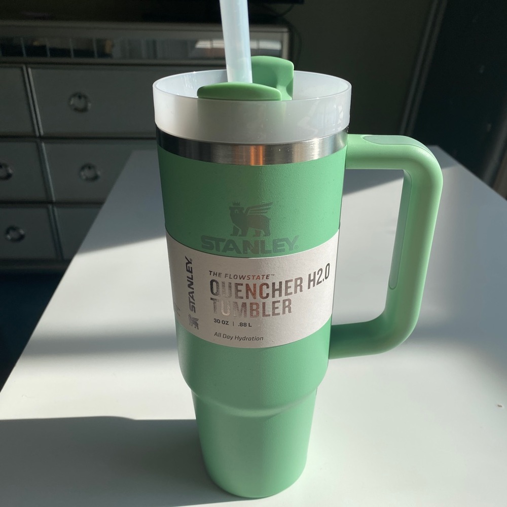 Sage Green Stanley Tumbler